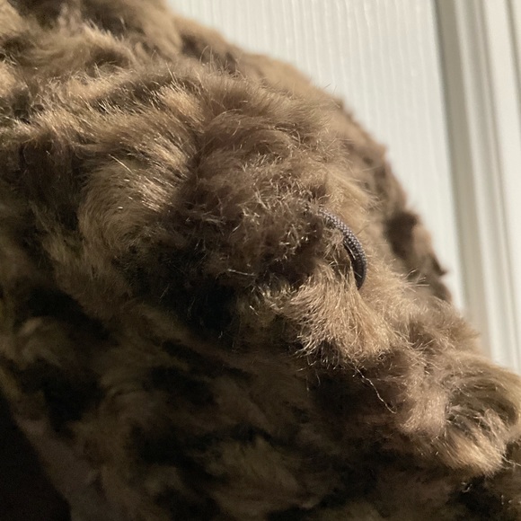 Terri Lewis brown cape - Picture 6 of 12